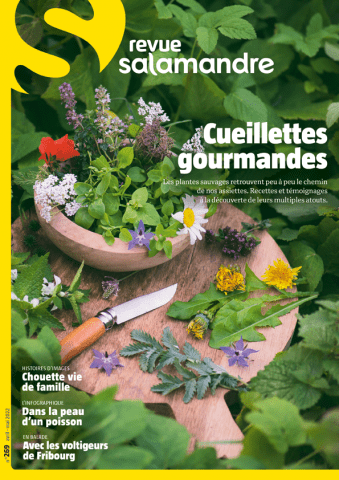 Couverture de la Revue Salamandre n°269