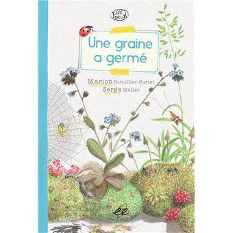une graine a germé
