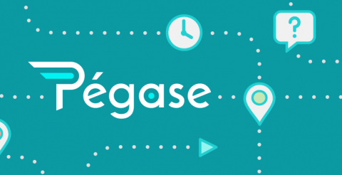 Éléments graphiques de l’application pégase