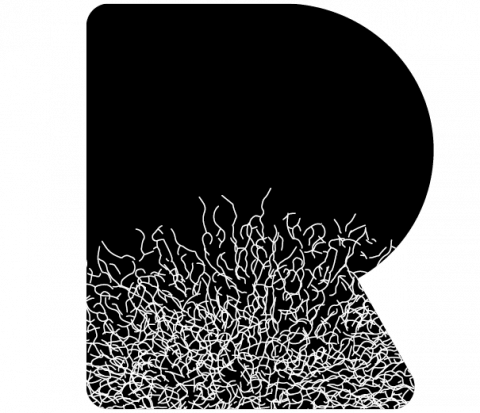 En-tête du site larobustesse.org