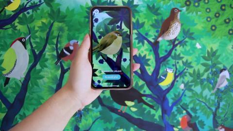 téléphone prenant une photo d'un oiseau