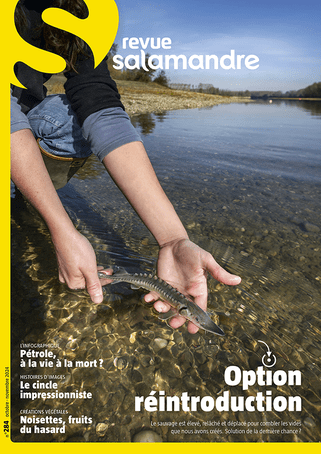 personne tenant un poisson hors de l'eau